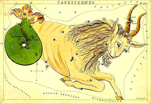 Capricorn Constellation Pictures