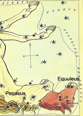 Equuleus