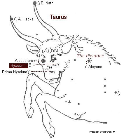 Hyadum2