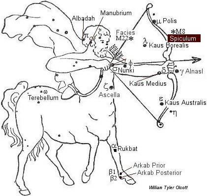 Spiculum