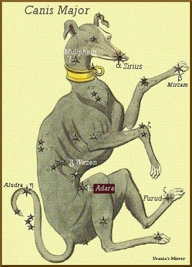 Adara