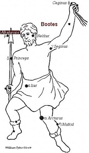 Alkalurops