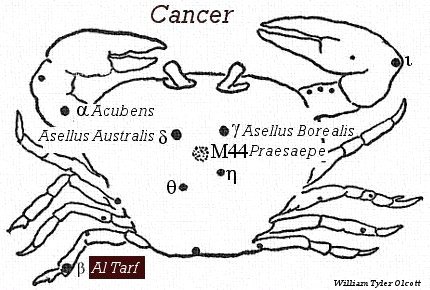 Al Tarf