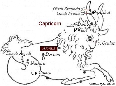 Armus
