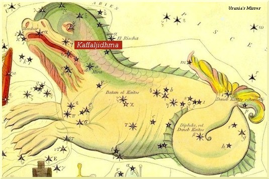 Kaffaljidhma