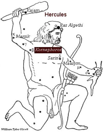 Kornephoros